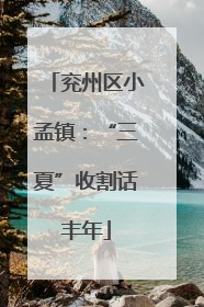 兖州区小孟镇：“三夏”收割话丰年
