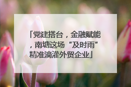 党建搭台，金融赋能，南塘这场“及时雨”精准滴灌外贸企业