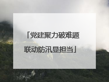 党建聚力破难题 联动防汛显担当