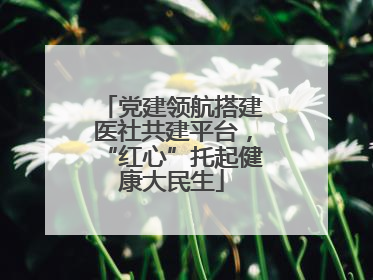 党建领航搭建医社共建平台，“红心”托起健康大民生