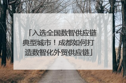 入选全国数智供应链典型城市！成都如何打造数智化外贸供应链