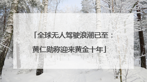 全球无人驾驶浪潮已至：黄仁勋称迎来黄金十年