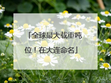 全球最大载重吨位！在大连命名