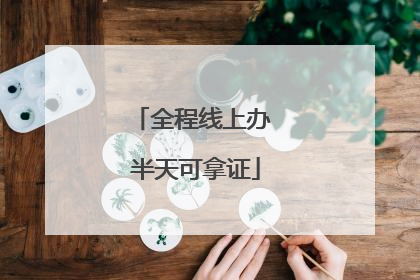 全程线上办 半天可拿证