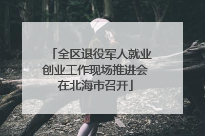 全区退役军人就业创业工作现场推进会在北海市召开