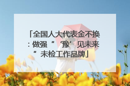 全国人大代表金不换：做强“‘豫’见未来”未检工作品牌