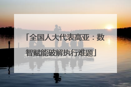 全国人大代表高亚：数智赋能破解执行难题