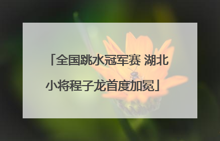 全国跳水冠军赛 湖北小将程子龙首度加冕