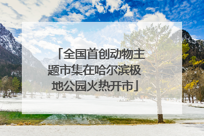 全国首创动物主题市集在哈尔滨极地公园火热开市