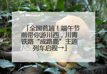 全国首趟！端午节前带你游川西，川青铁路“成路鹿”主题列车启程→
