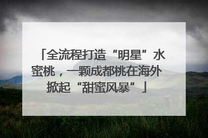 全流程打造“明星”水蜜桃，一颗成都桃在海外掀起“甜蜜风暴”
