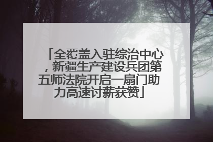 全覆盖入驻综治中心，新疆生产建设兵团第五师法院开启一扇门助力高速讨薪获赞