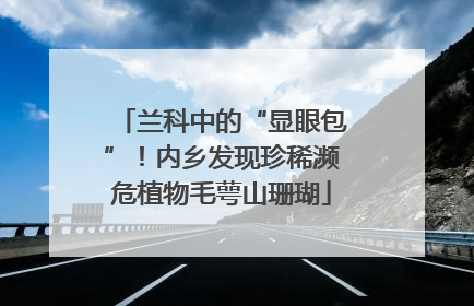 兰科中的“显眼包”！内乡发现珍稀濒危植物毛萼山珊瑚
