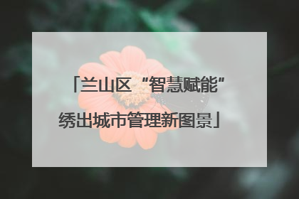 兰山区“智慧赋能”绣出城市管理新图景