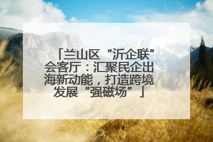 兰山区“沂企联”会客厅：汇聚民企出海新动能，打造跨境发展“强磁场”