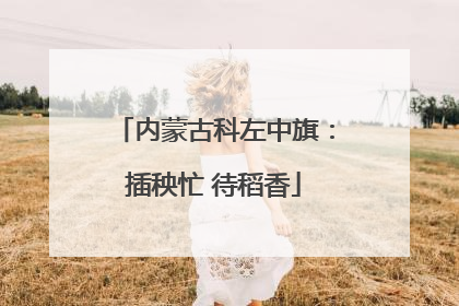 内蒙古科左中旗：插秧忙 待稻香