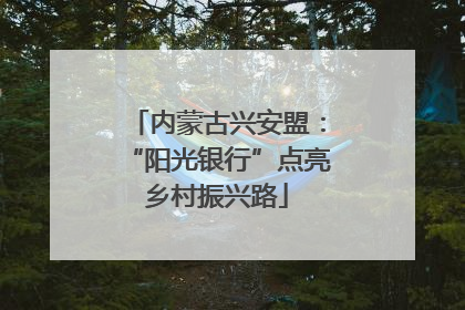内蒙古兴安盟：“阳光银行”点亮乡村振兴路