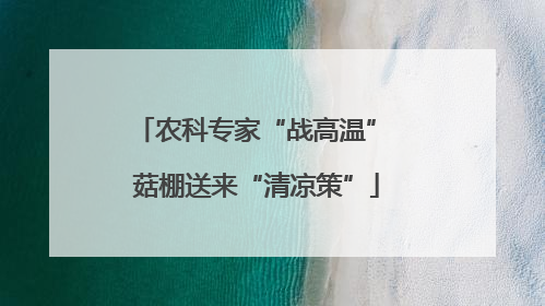农科专家“战高温” 菇棚送来“清凉策”