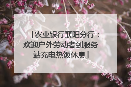 农业银行襄阳分行：欢迎户外劳动者到服务站充电热饭休息