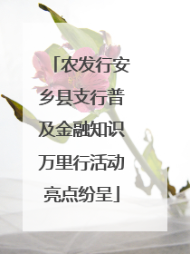 农发行安乡县支行普及金融知识万里行活动亮点纷呈