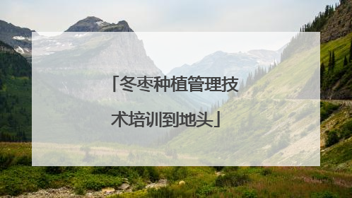 冬枣种植管理技术培训到地头
