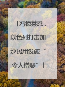 冯德莱恩：以色列打击加沙民用设施“令人憎恶”