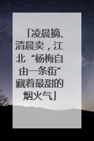 凌晨摘、清晨卖，江北“杨梅自由一条街”藏着最甜的烟火气