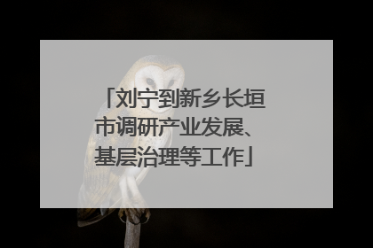 刘宁到新乡长垣市调研产业发展、基层治理等工作