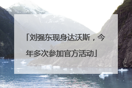 刘强东现身达沃斯，今年多次参加官方活动