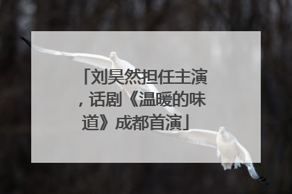 刘昊然担任主演，话剧《温暖的味道》成都首演