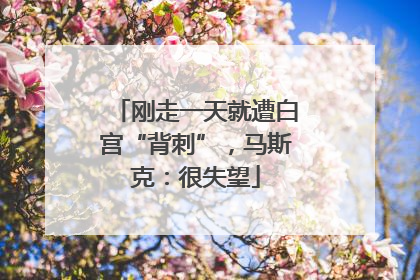 刚走一天就遭白宫“背刺”，马斯克：很失望