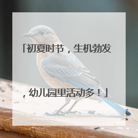 初夏时节，生机勃发，幼儿园里活动多！