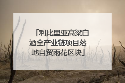 利比里亚高粱白酒全产业链项目落地自贸雨花区块