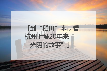到“稻田”来，看杭州上城20年来“光阴的故事”
