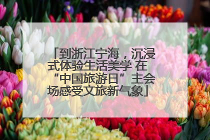 到浙江宁海，沉浸式体验生活美学 在“中国旅游日”主会场感受文旅新气象