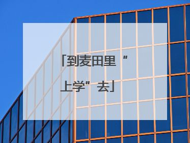 到麦田里“上学”去