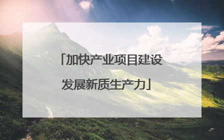 加快产业项目建设 发展新质生产力