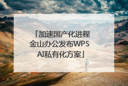 加速国产化进程 金山办公发布WPS AI私有化方案