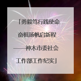 勇毅笃行践使命 奋楫扬帆启新程——神木市委社会工作部工作纪实