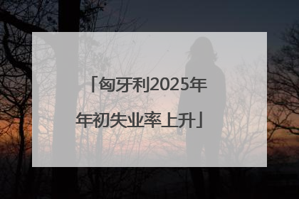 匈牙利2025年年初失业率上升