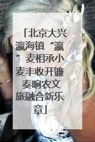 北京大兴瀛海镇“瀛”麦相承小麦丰收开镰 奏响农文旅融合新乐章