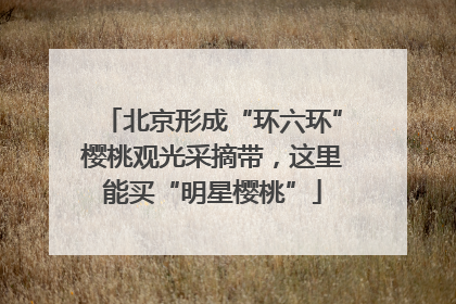 北京形成“环六环”樱桃观光采摘带，这里能买“明星樱桃”