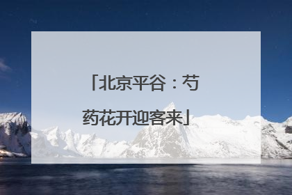 北京平谷：芍药花开迎客来