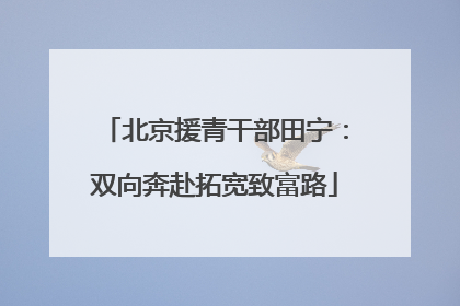 北京援青干部田宁：双向奔赴拓宽致富路
