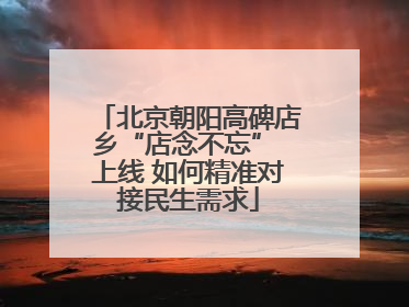 北京朝阳高碑店乡“店念不忘” 上线 如何精准对接民生需求