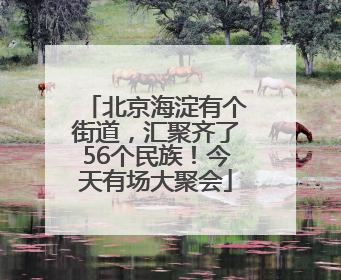 北京海淀有个街道，汇聚齐了56个民族！今天有场大聚会