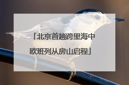 北京首趟跨里海中欧班列从房山启程
