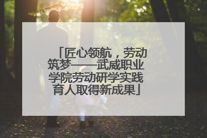 匠心领航，劳动筑梦——武威职业学院劳动研学实践育人取得新成果