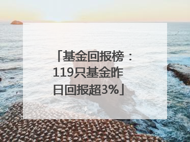 基金回报榜：119只基金昨日回报超3%