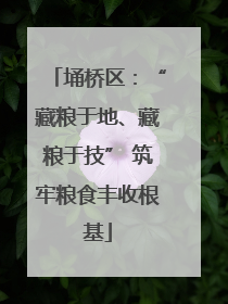 埇桥区：“藏粮于地、藏粮于技” 筑牢粮食丰收根基